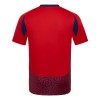 Goedkope Costa Rica Thuisshirt 2024